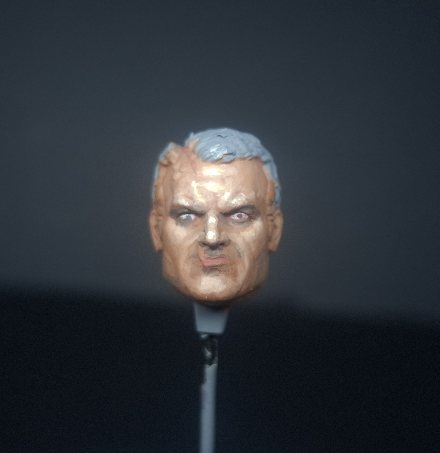 Day 7 progression image